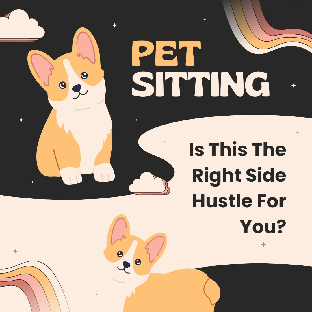 How To Make Money Pet Sitting in 2024
