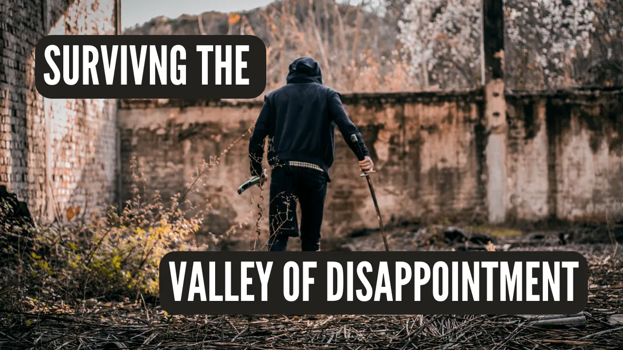Surviving the Valley of Disappointment