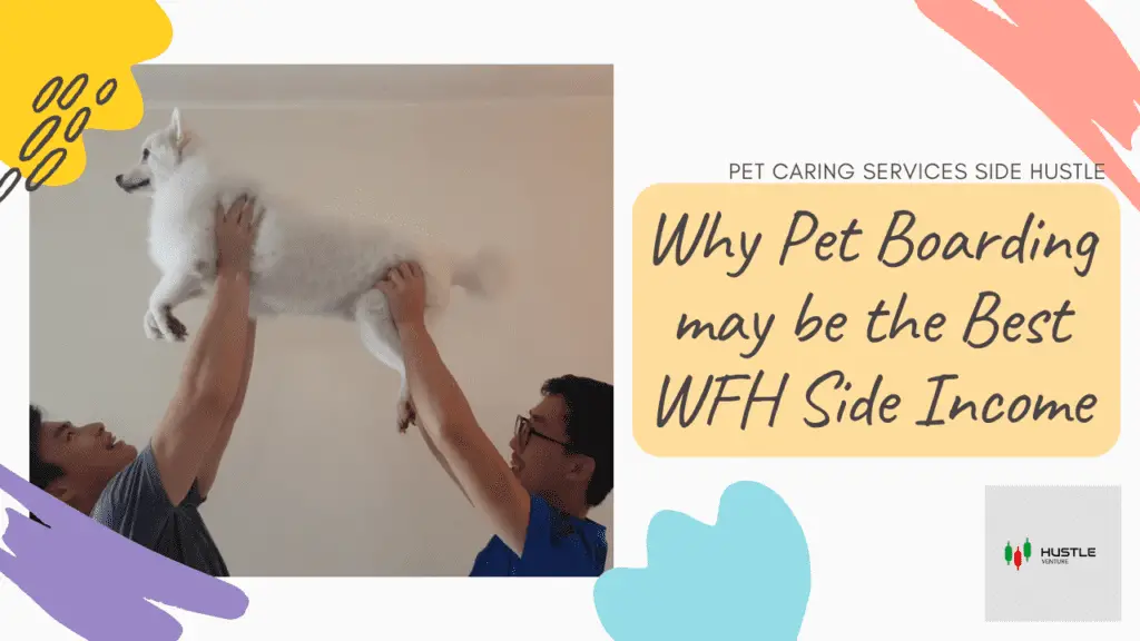 Why Pet Boarding may be the best WFH Side Income