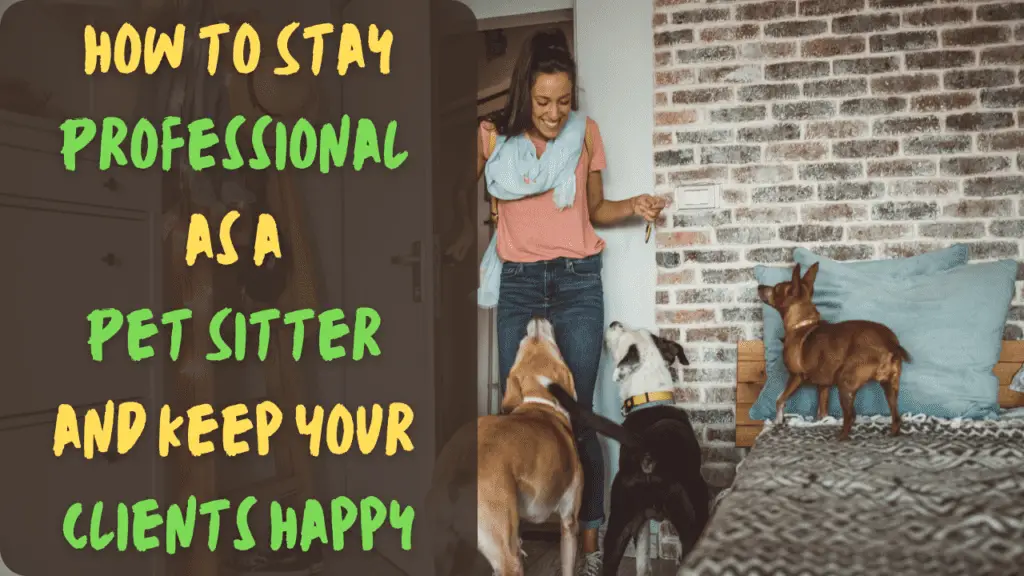 how to stay professional as a pet sitter and keep your clients happy