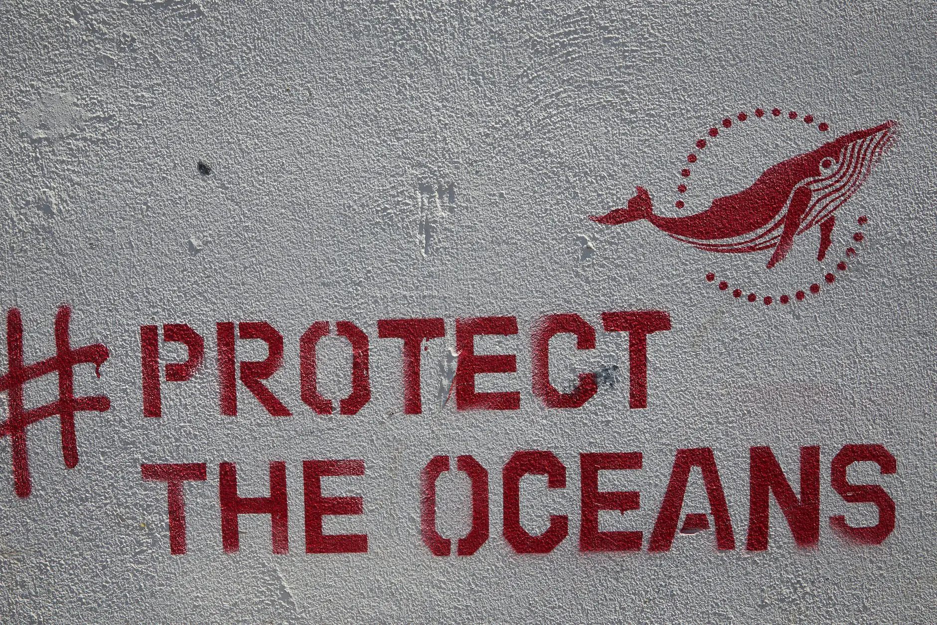 graffiti with inscription protect the oceans placed on concrete wall