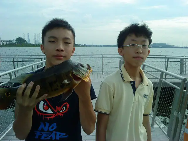 me as a kid sharing my content on fishing in Singapore