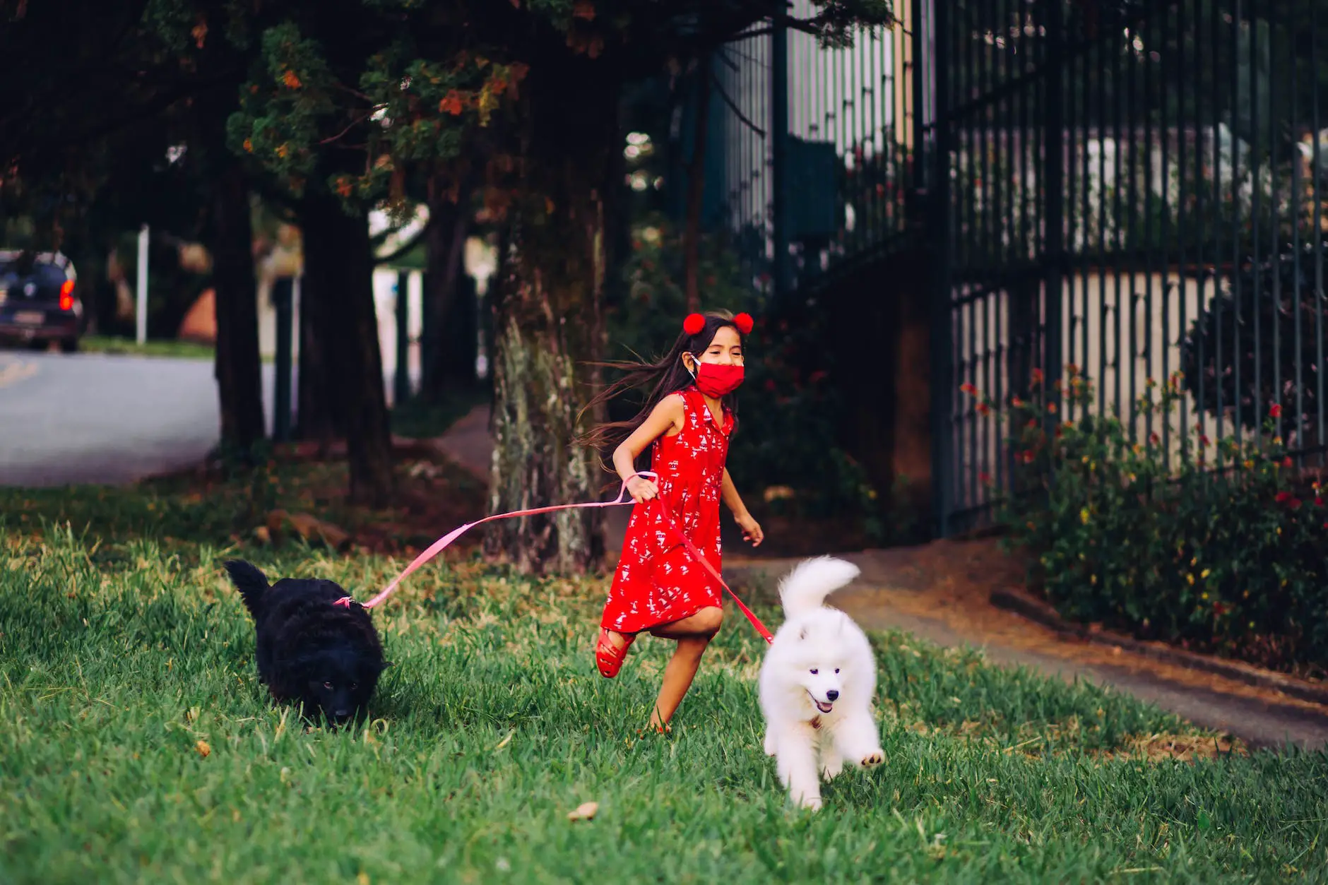 cheerful girl in red dress running with dogs on leash outdoors