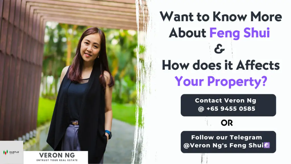 Veron Ng Feng Shui property guide