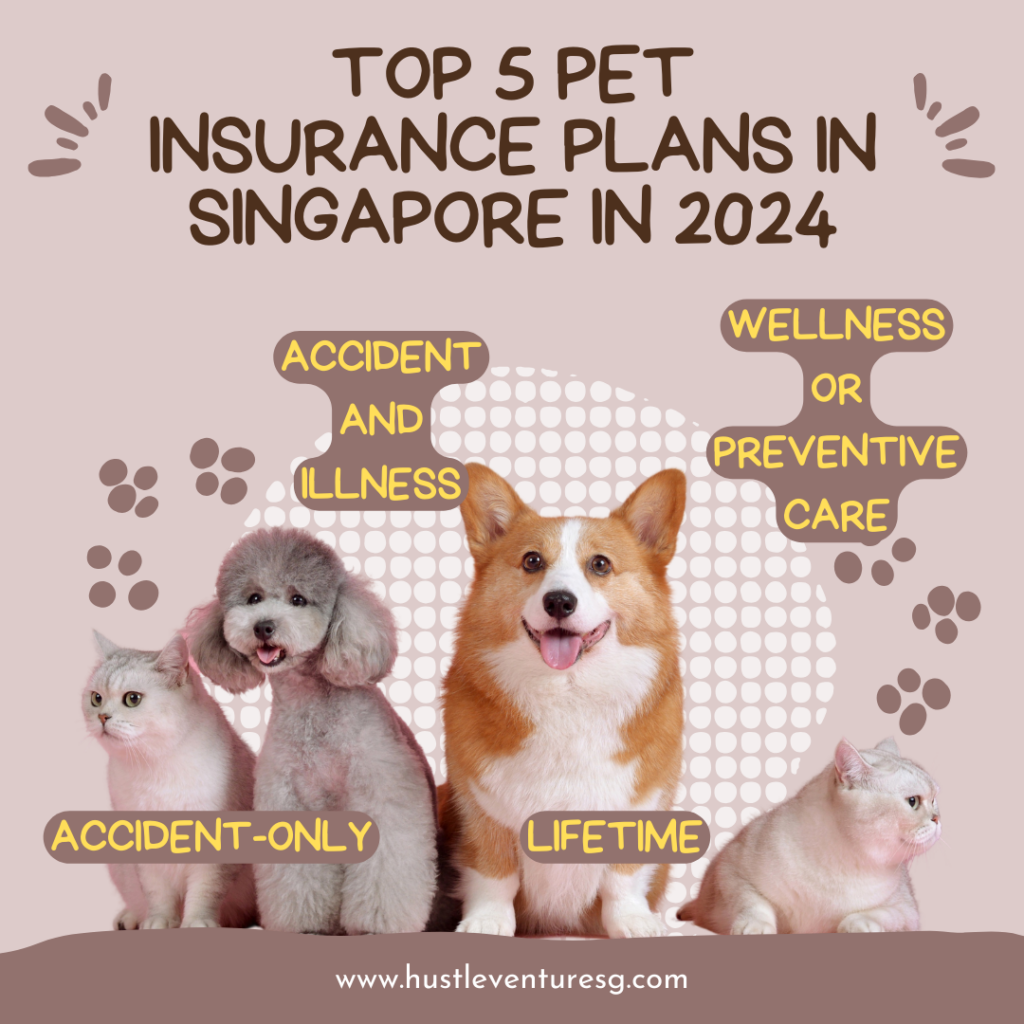 pet insurance plans in Singapore in 2024