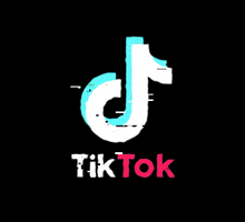 Understanding TikTok's Creator Fund